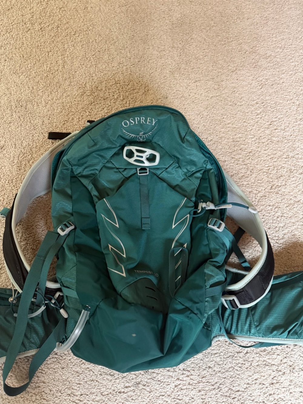 OSPREY Forest Green Convertible Daypack with Light Gray Accents